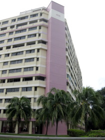 Blk 418 Hougang Avenue 8 (Hougang), HDB 5 Rooms #250432